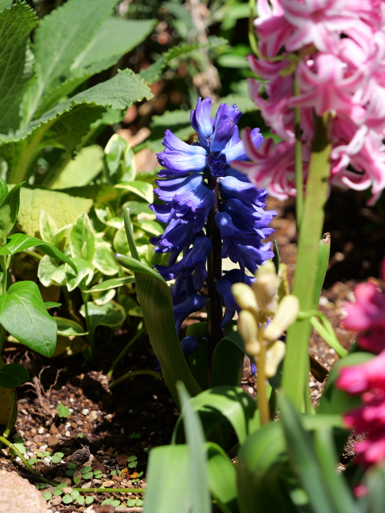 2025-04-04 12_37№(0512).JPG
