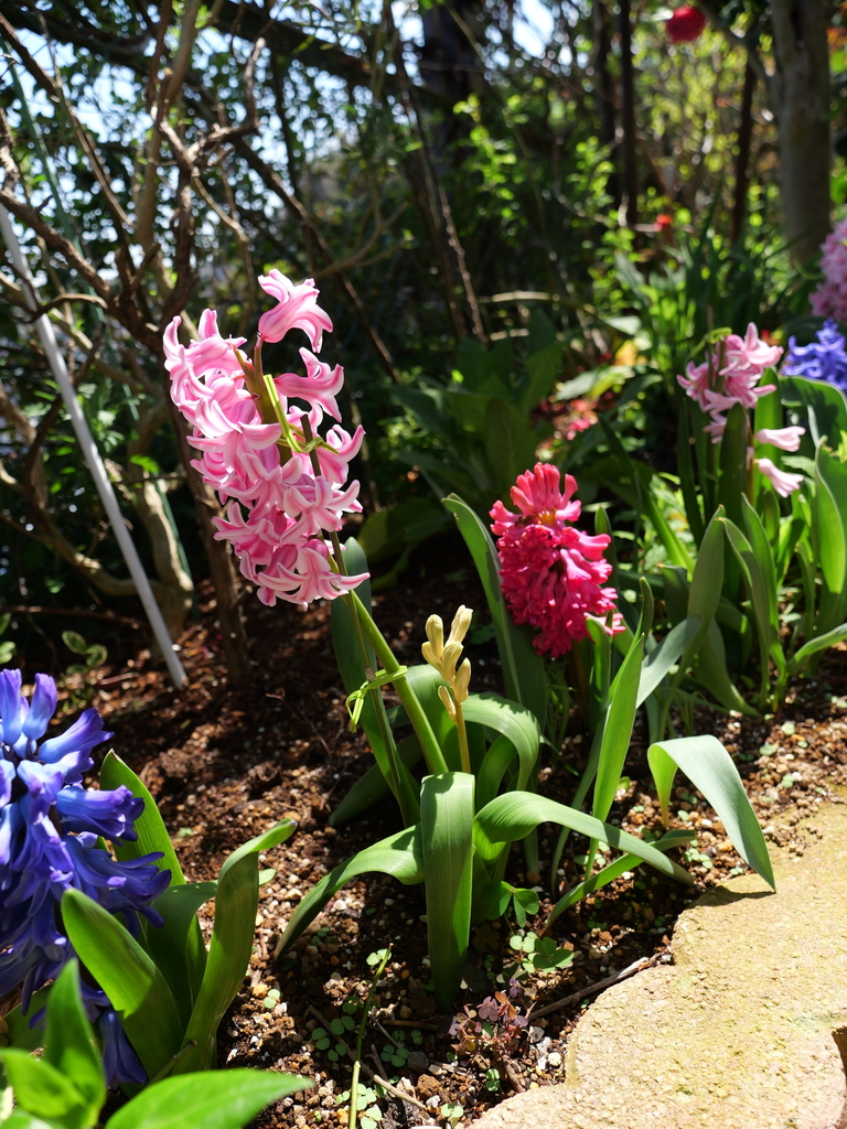 2025-04-04 12_37№(0513).JPG