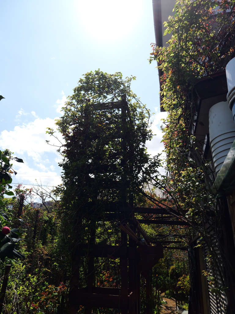 2025-04-04 12_38№(0519).JPG