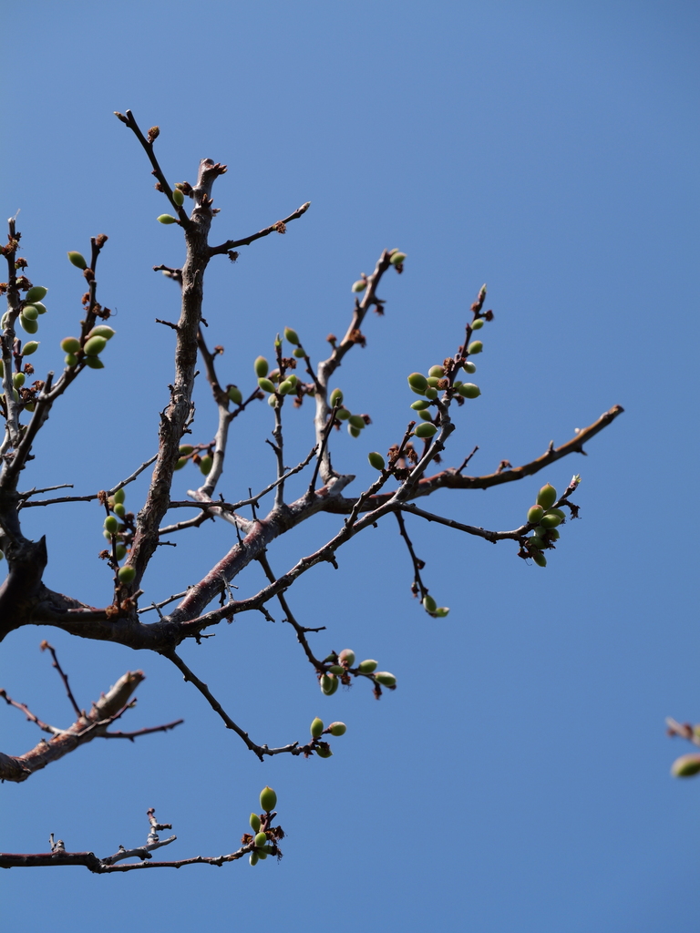 2025-04-04 12_38№(0526).JPG