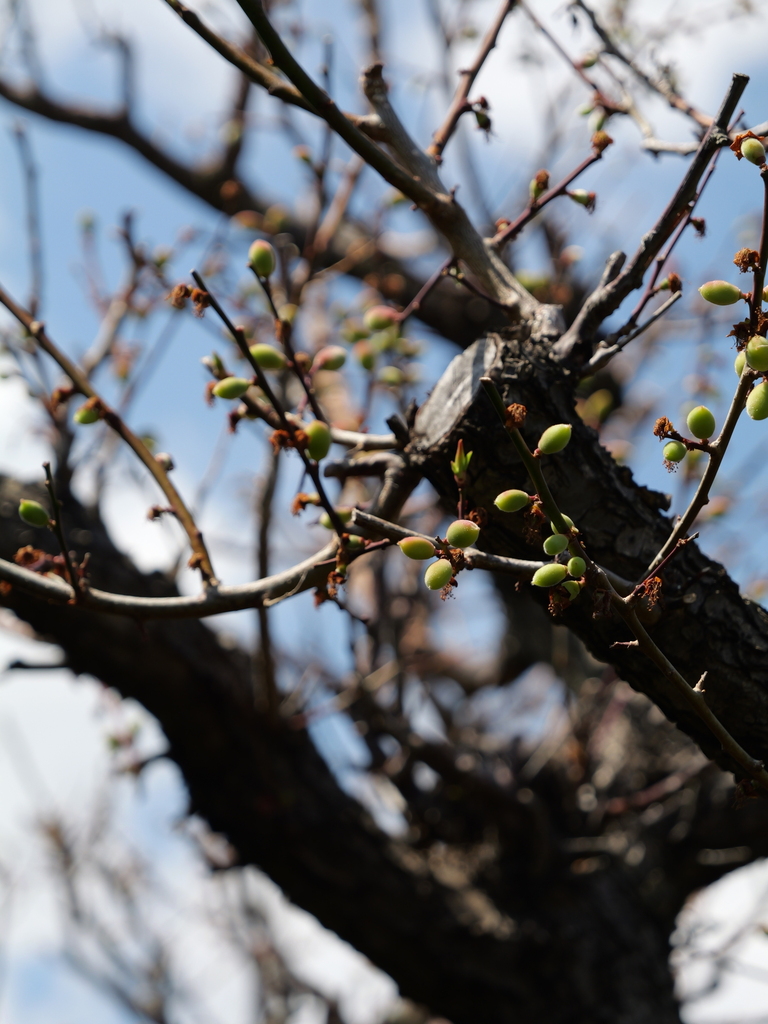 2025-04-04 12_38№(0528).JPG