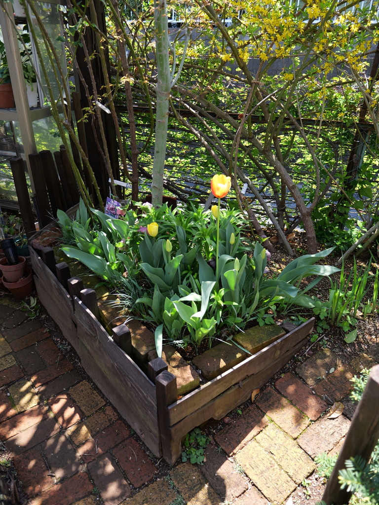 2025-04-04 12_38№(0533).JPG
