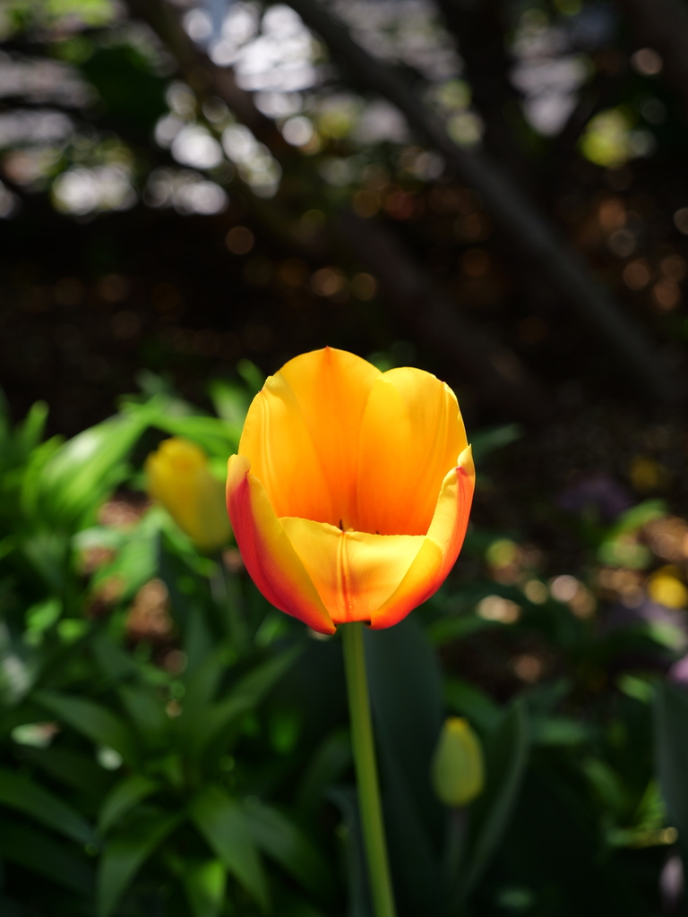2025-04-04 12_38№(0535).JPG