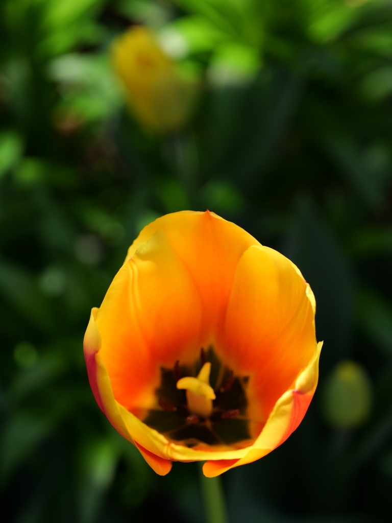 2025-04-04 12_39№(0537).JPG