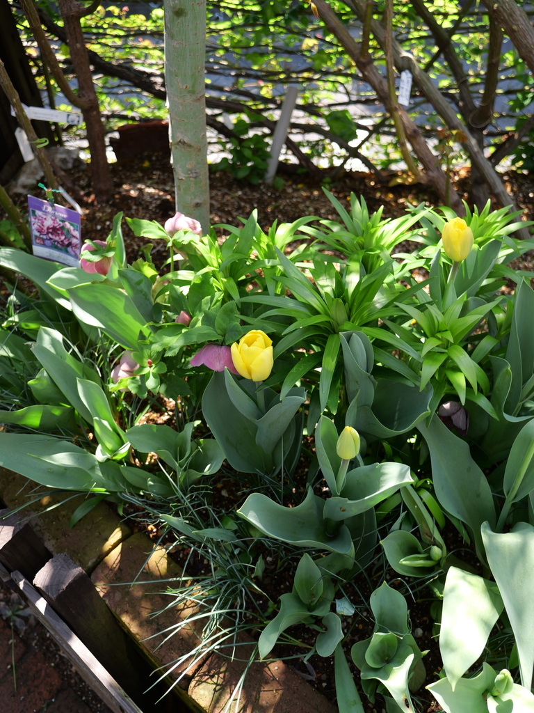 2025-04-04 12_39№(0539).JPG