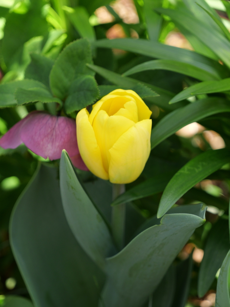 2025-04-04 12_39№(0540).JPG