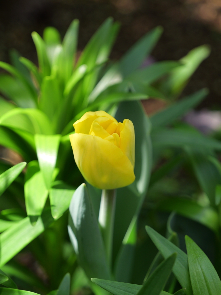2025-04-04 12_39№(0541).JPG