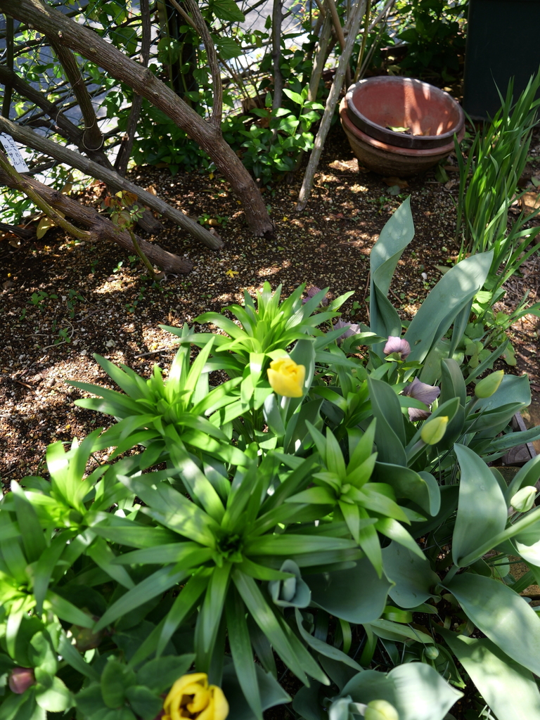 2025-04-04 12_39№(0543).JPG