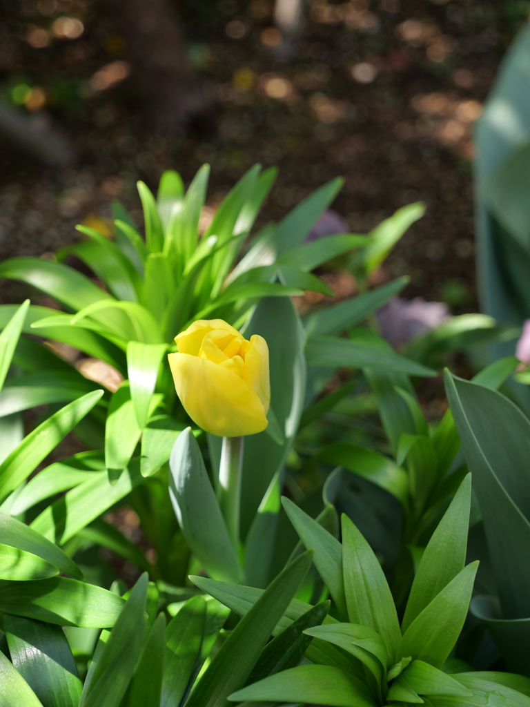 2025-04-04 12_39№(0546).JPG
