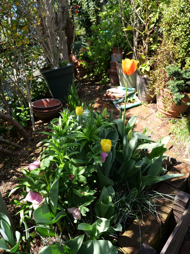 2025-04-04 12_39№(0547).JPG