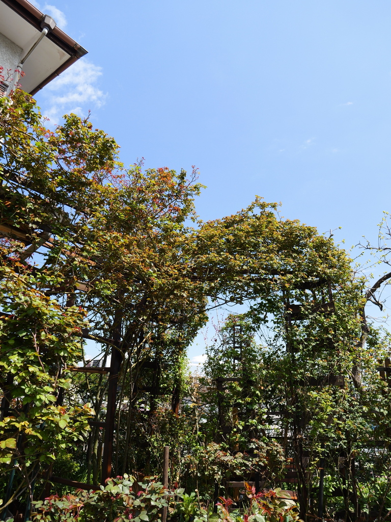 2025-04-04 12_40№(0552).JPG