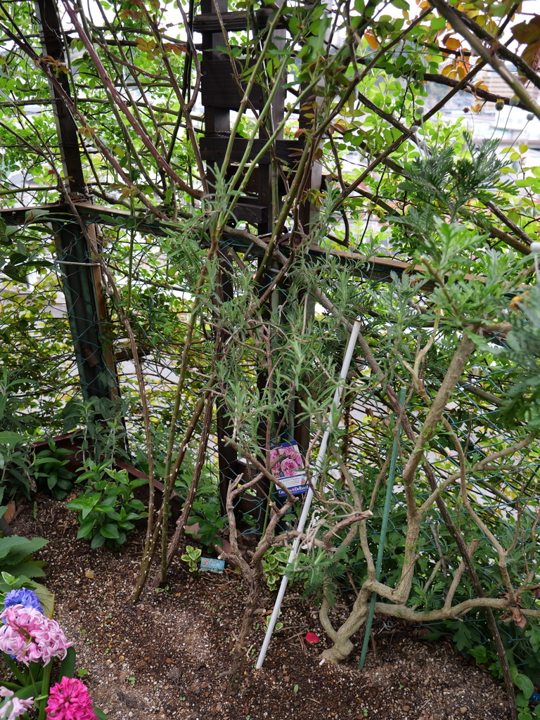 2025-04-06 09_59№(0044).JPG