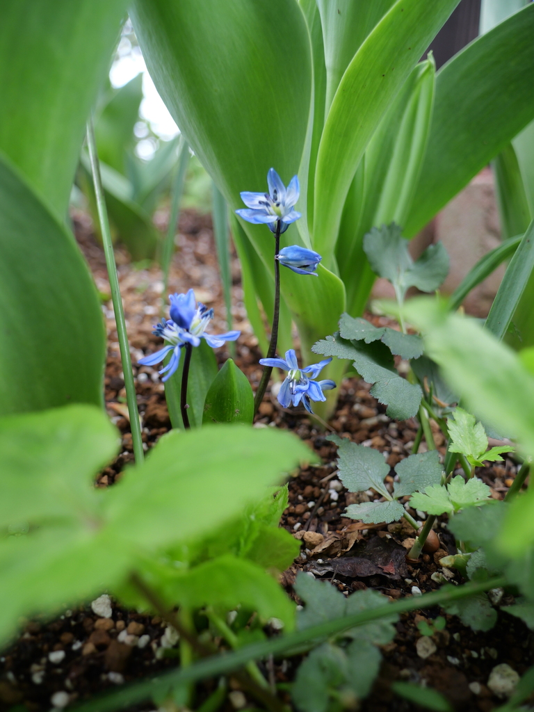 2025-04-06 10_03№(0058).JPG