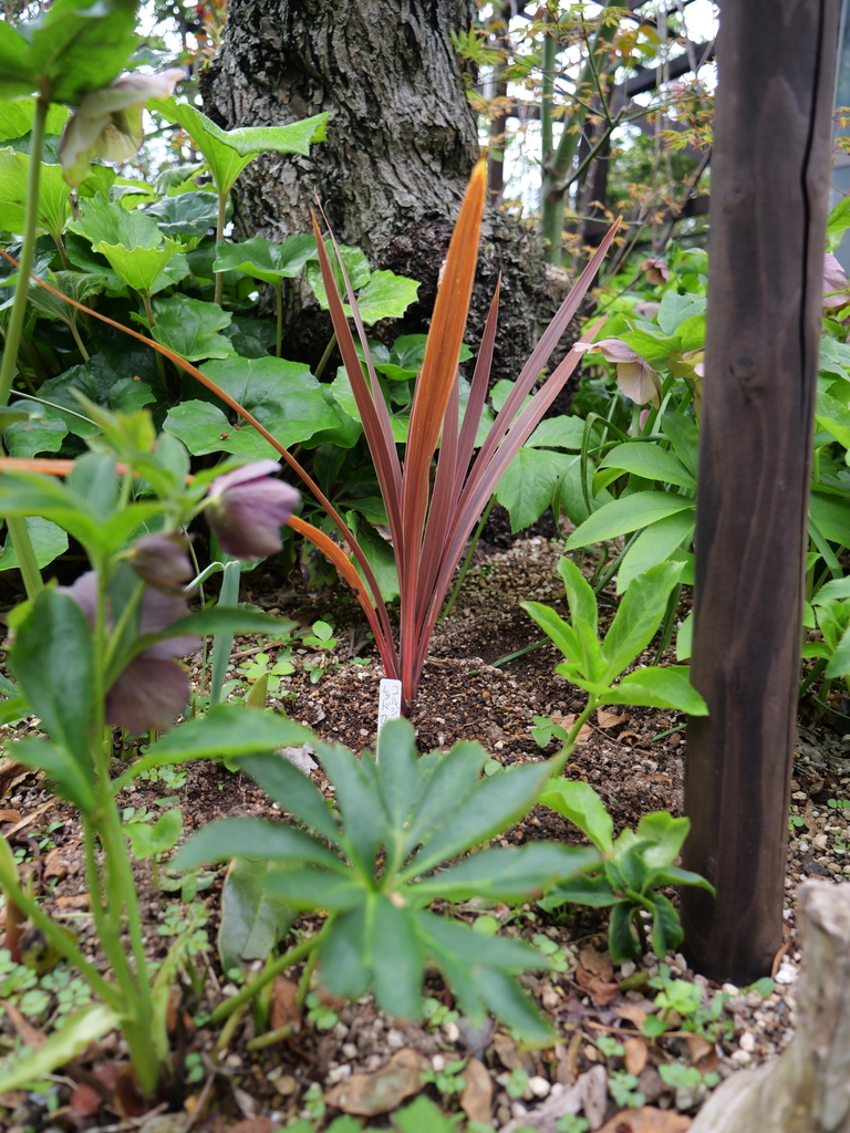2025-04-06 10_07№(0074).JPG