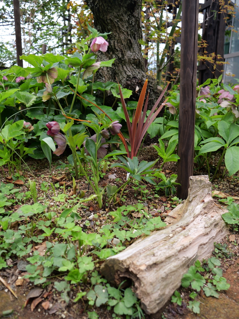 2025-04-06 10_08№(0076).JPG