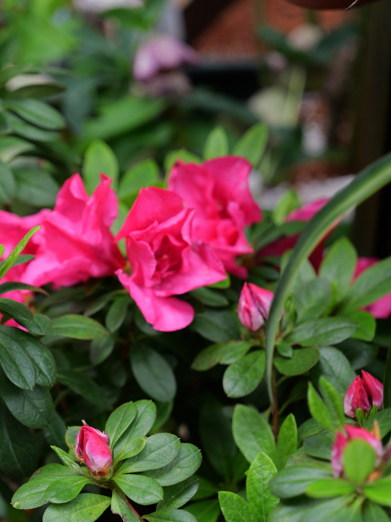 2025-04-06 10_22№(0143).JPG