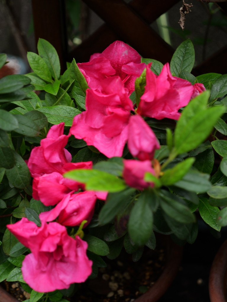 2025-04-06 10_22№(0144).JPG