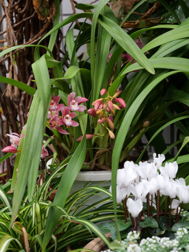 2025-04-06 10_23№(0161).JPG