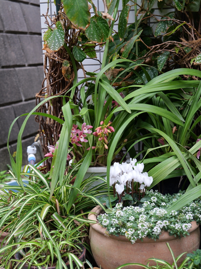 2025-04-06 10_23№(0162).JPG
