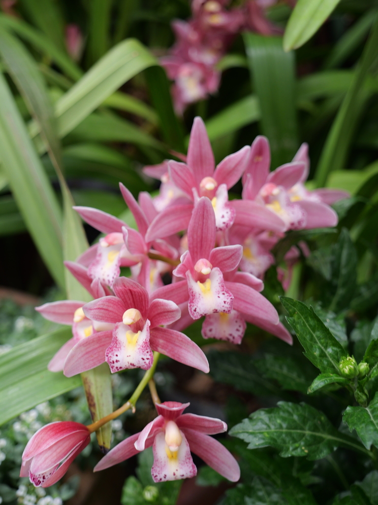 2025-04-06 10_23№(0164).JPG