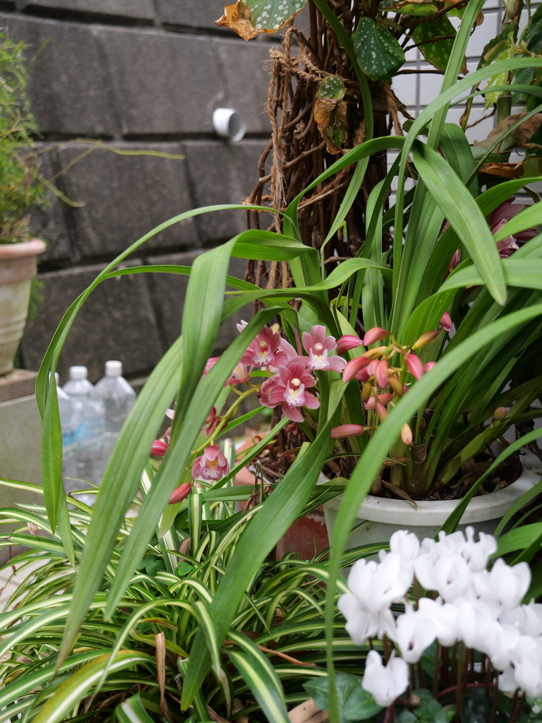 2025-04-06 10_23№(0168).JPG