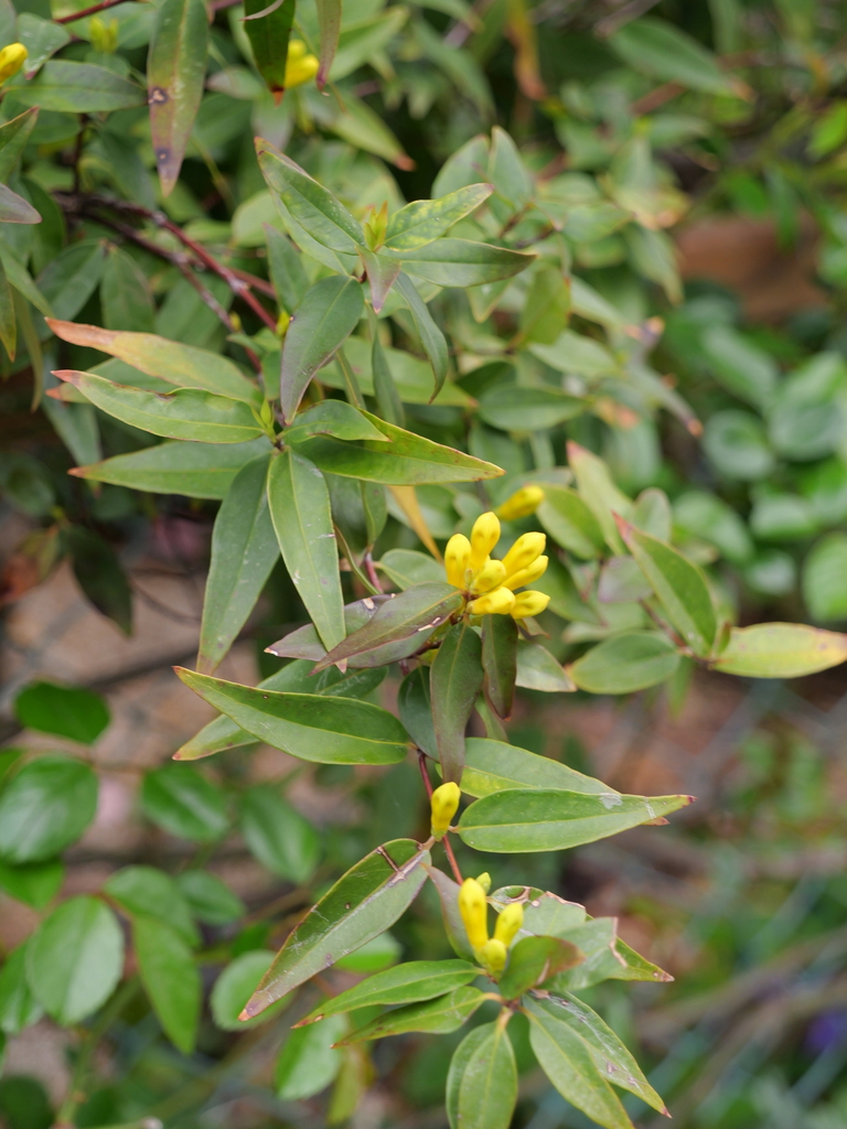2025-04-06 10_23№(0175).JPG