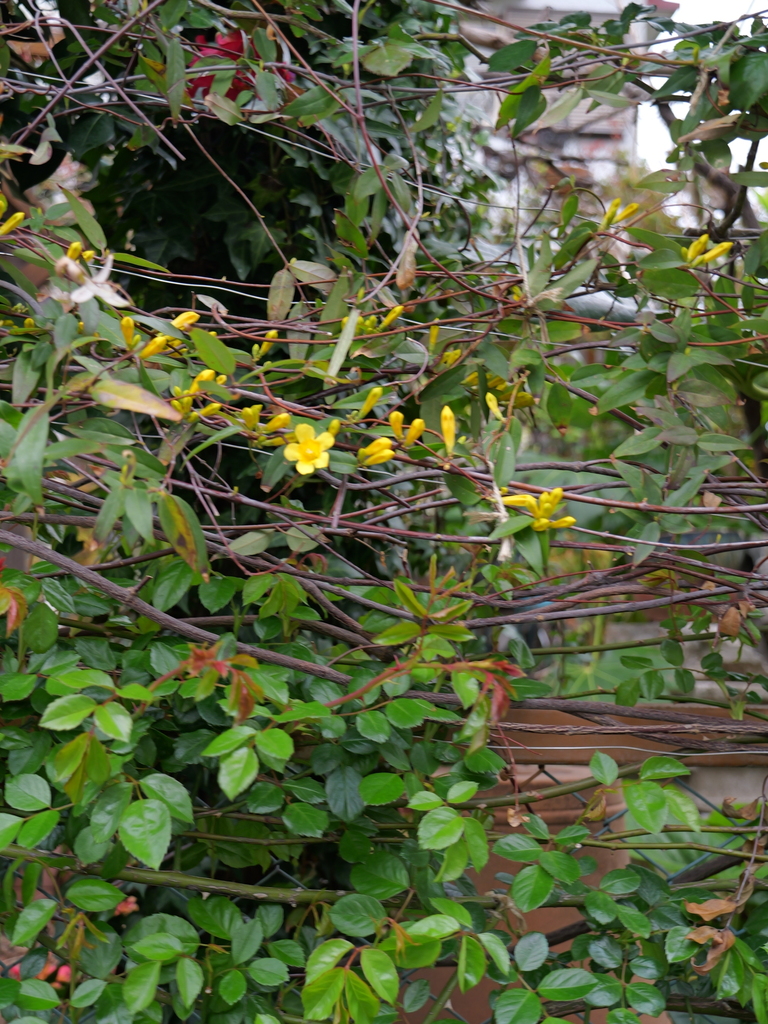 2025-04-06 10_24№(0177).JPG