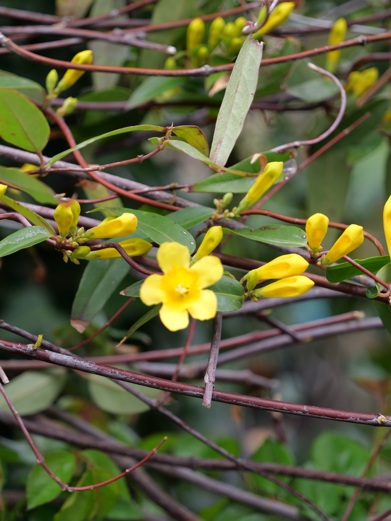2025-04-06 10_24№(0181).JPG