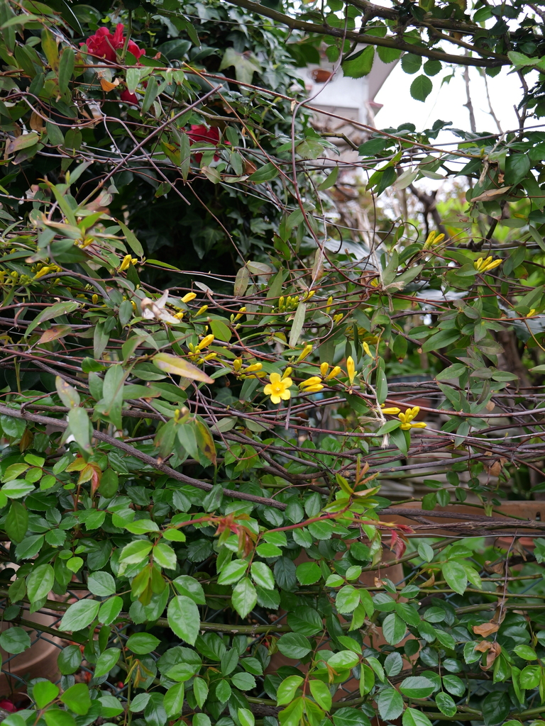 2025-04-06 10_24№(0182).JPG