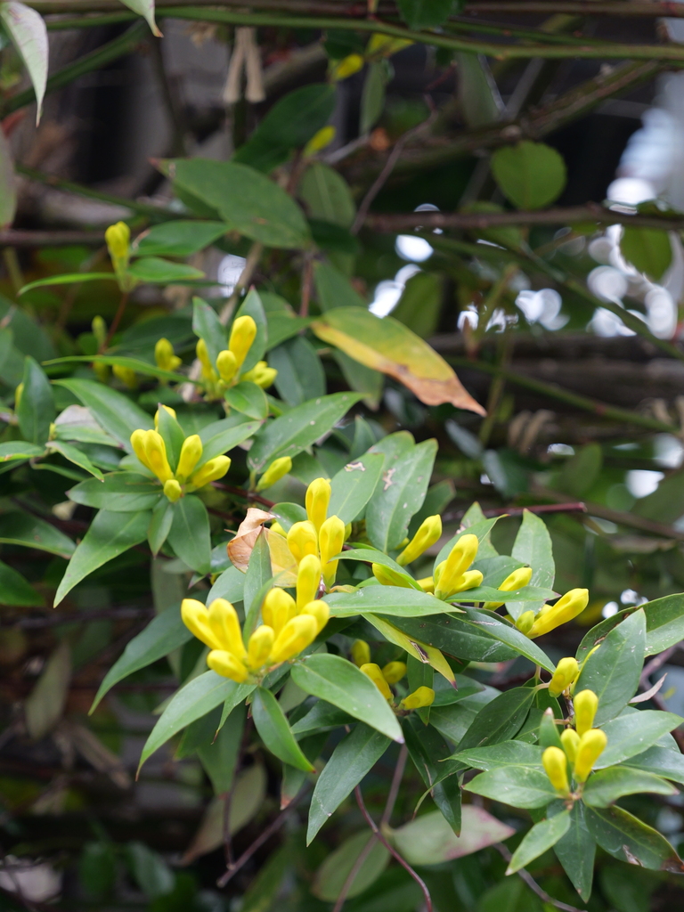 2025-04-06 10_24№(0184).JPG