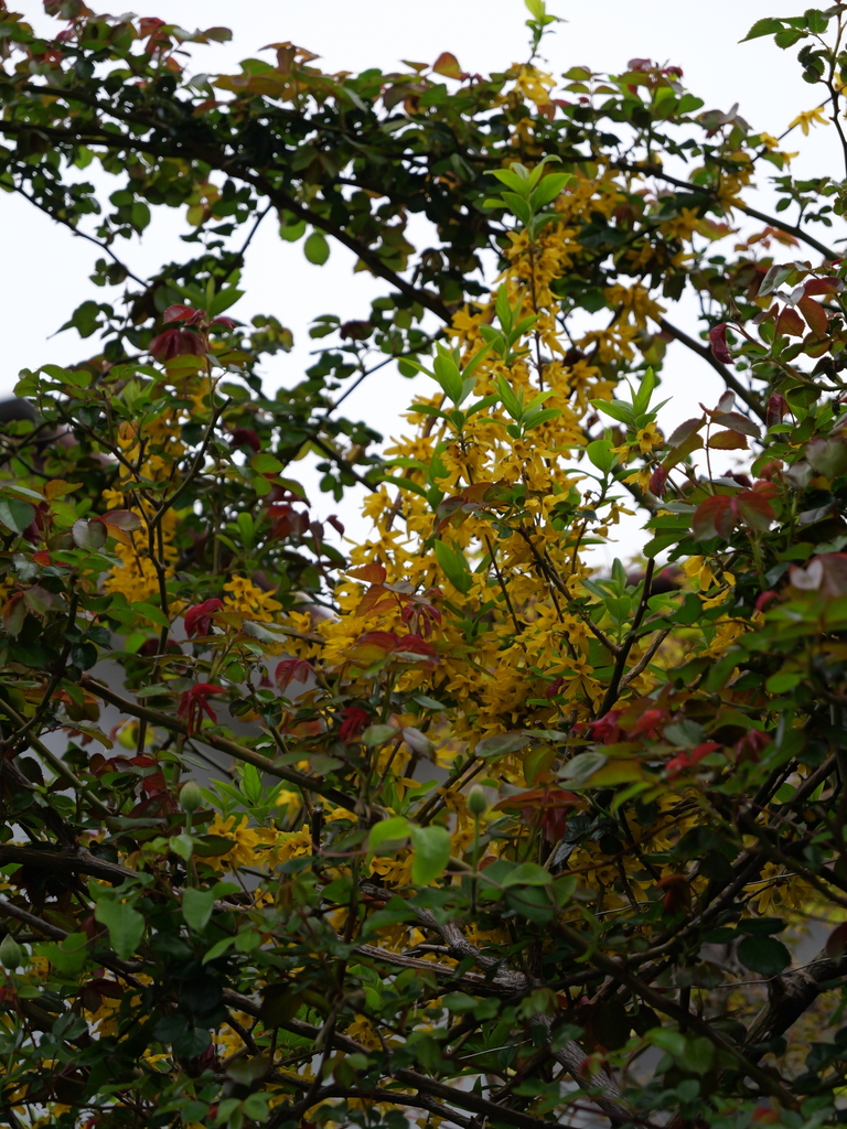 2025-04-06 10_24№(0189).JPG