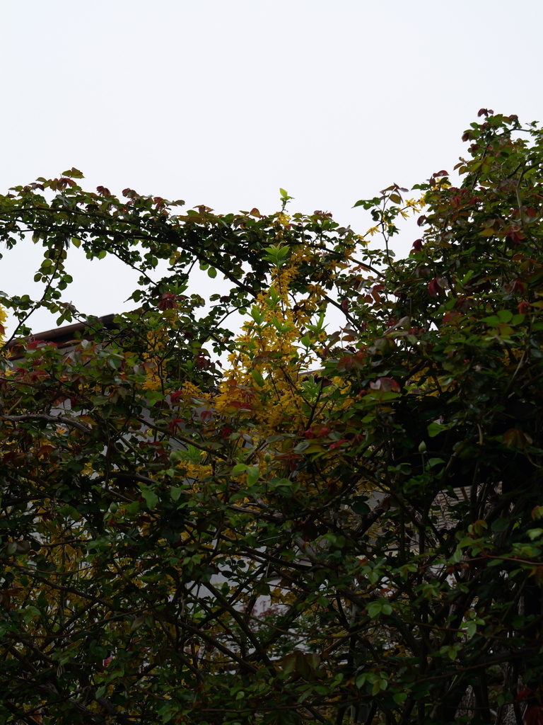 2025-04-06 10_24№(0190).JPG
