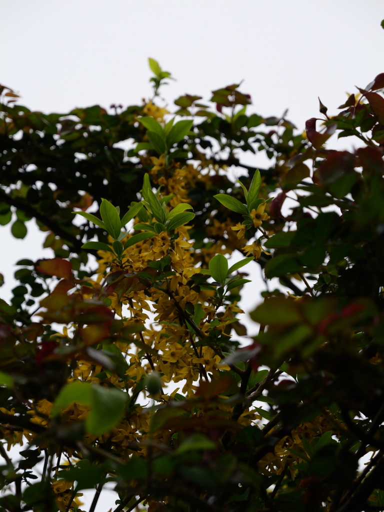 2025-04-06 10_24№(0191).JPG