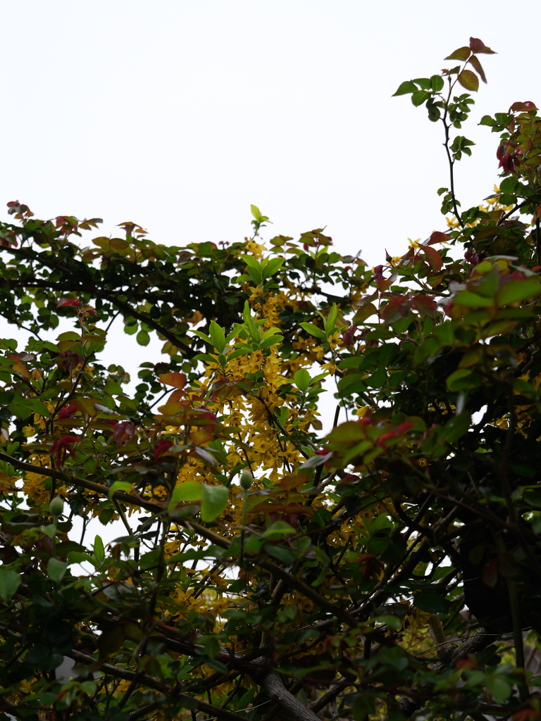 2025-04-06 10_24№(0192).JPG