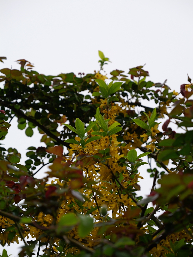 2025-04-06 10_24№(0193).JPG