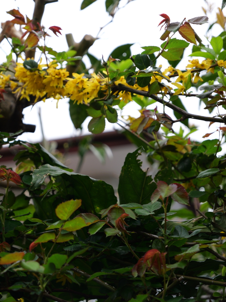 2025-04-06 10_24№(0194).JPG