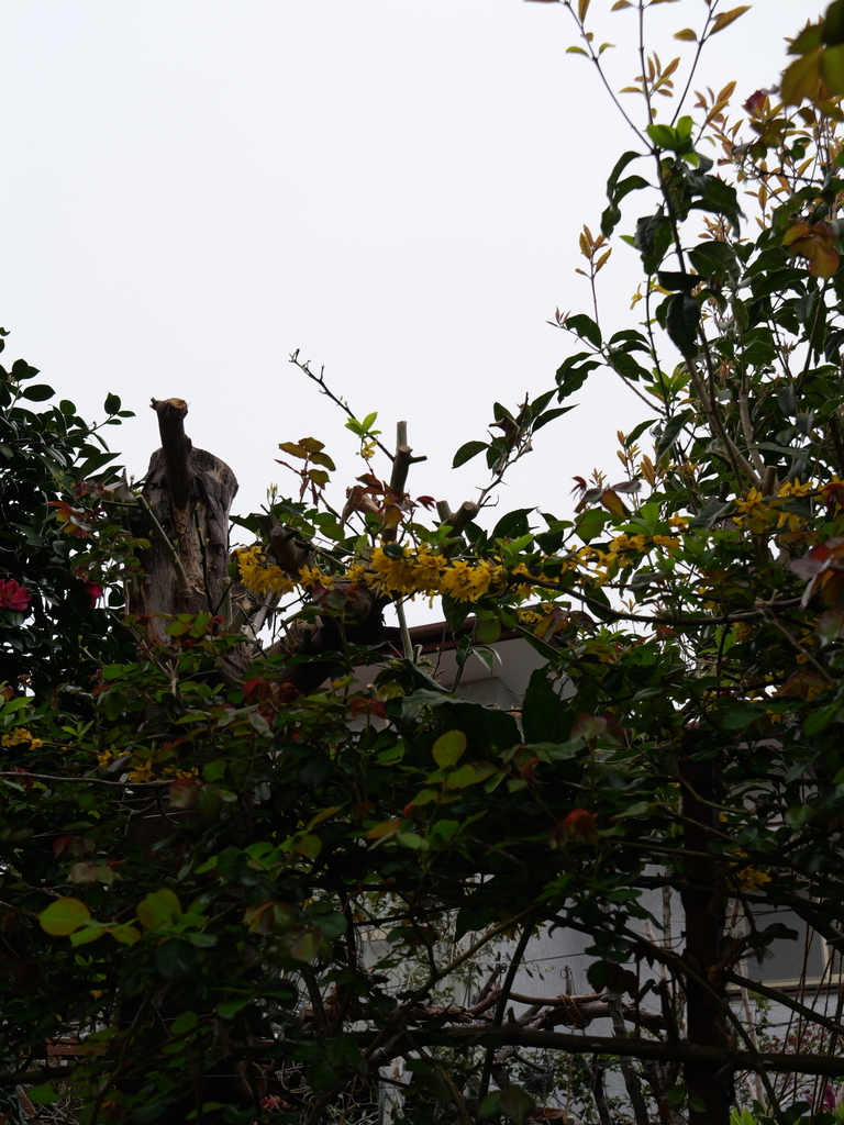 2025-04-06 10_24№(0195).JPG