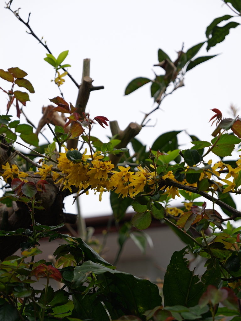 2025-04-06 10_24№(0196).JPG