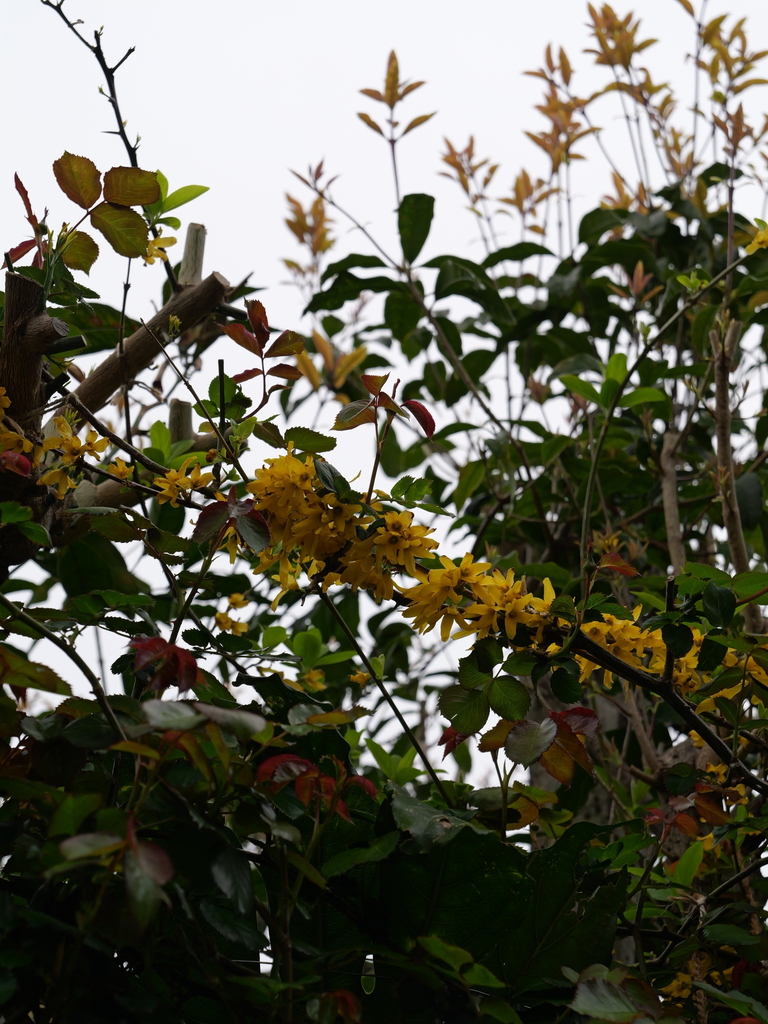2025-04-06 10_24№(0198).JPG