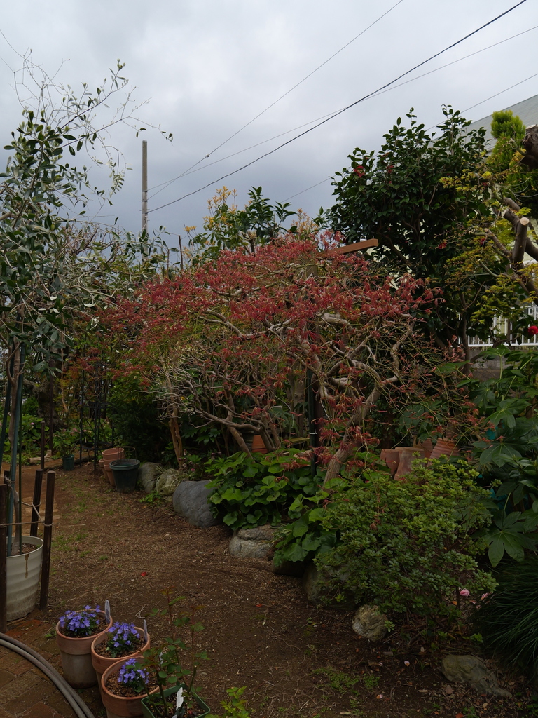 2025-04-06 10_25№(0200).JPG