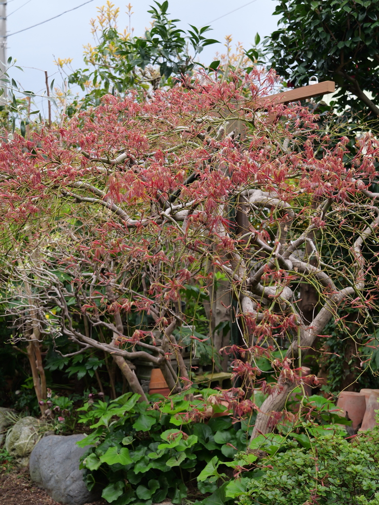 2025-04-06 10_25№(0201).JPG