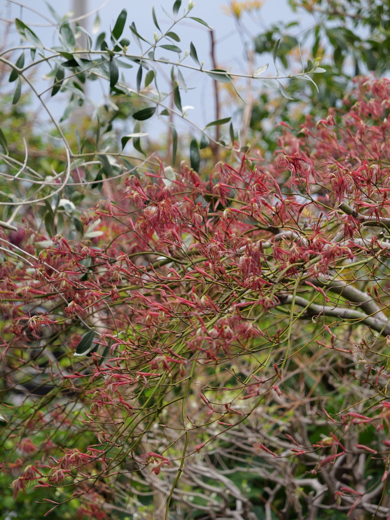 2025-04-06 10_25№(0202).JPG