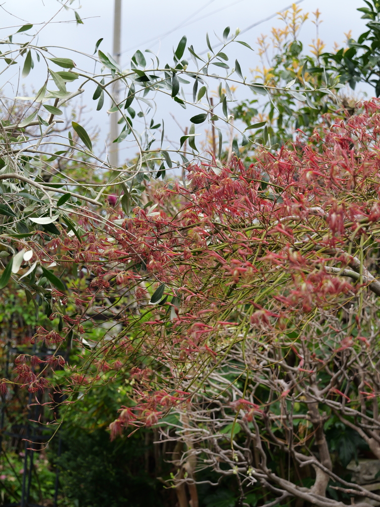 2025-04-06 10_25№(0208).JPG