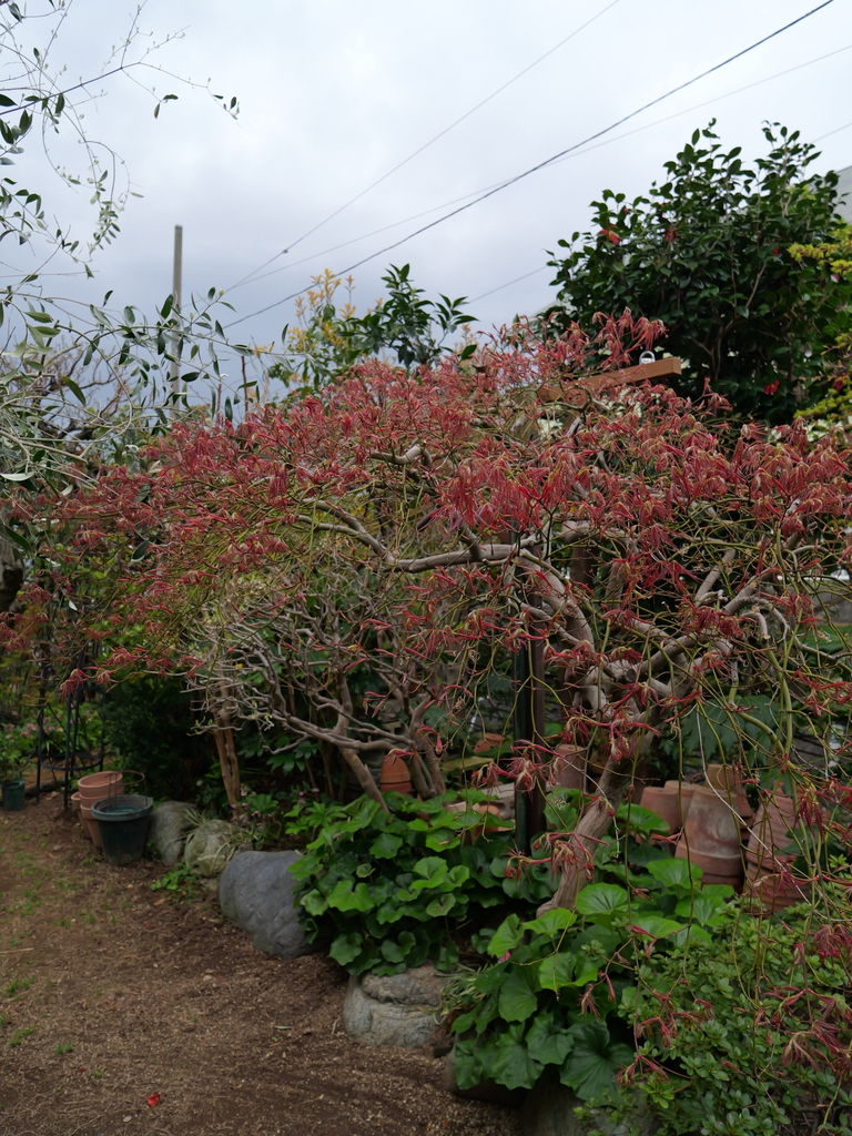 2025-04-06 10_25№(0209).JPG