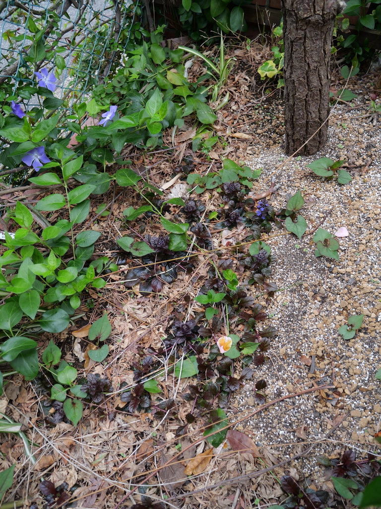 2025-04-06 10_26№(0239).JPG