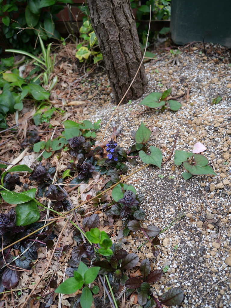 2025-04-06 10_26№(0240).JPG