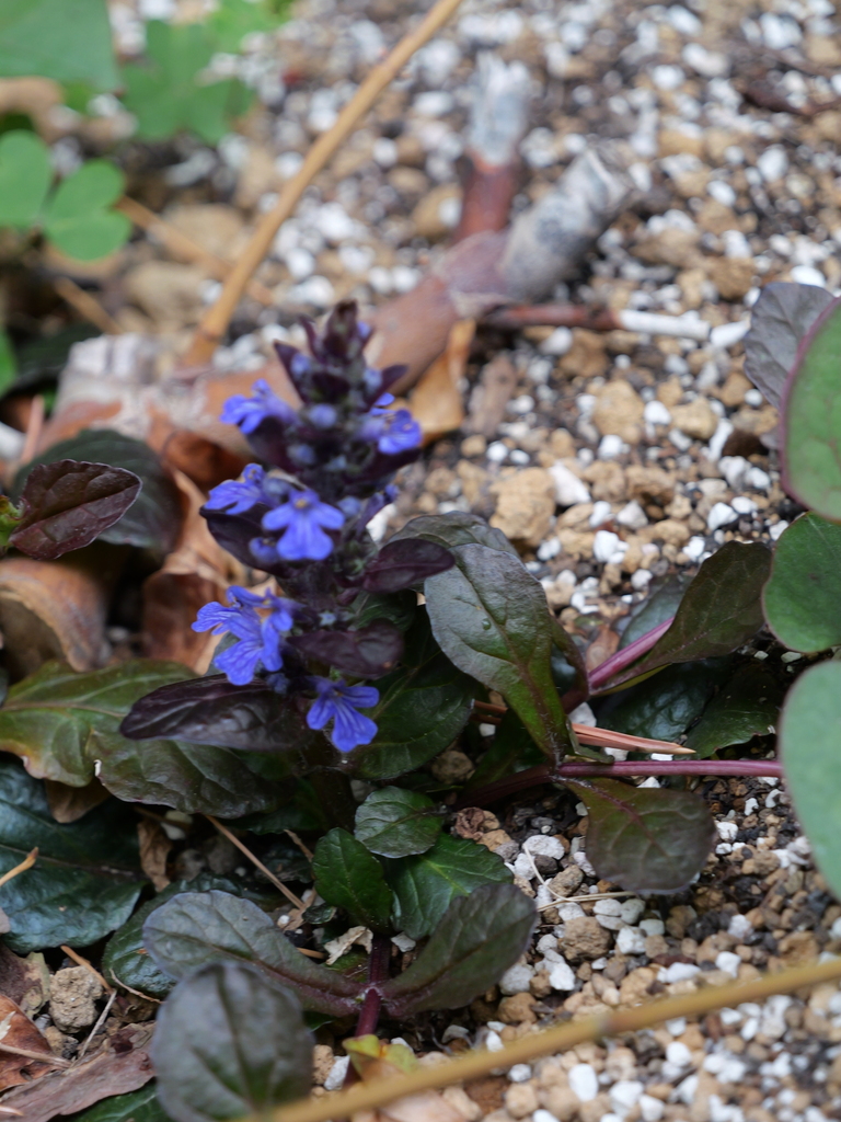 2025-04-06 10_26№(0242).JPG