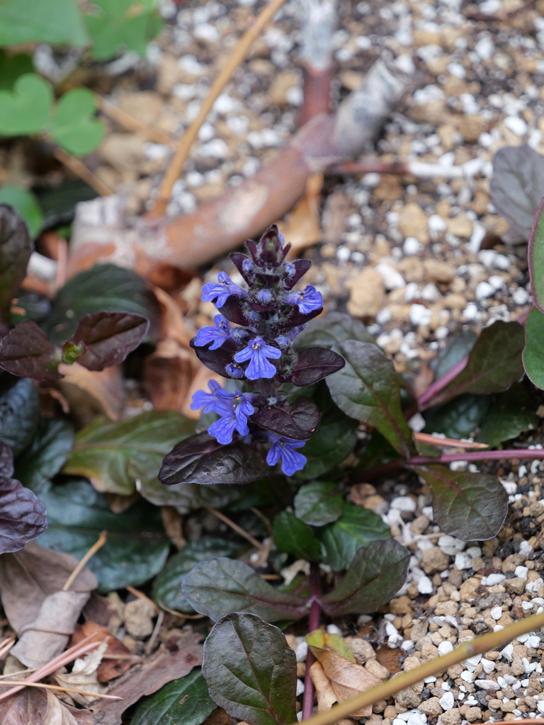 2025-04-06 10_26№(0244).JPG