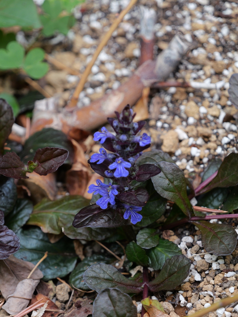 2025-04-06 10_26№(0245).JPG