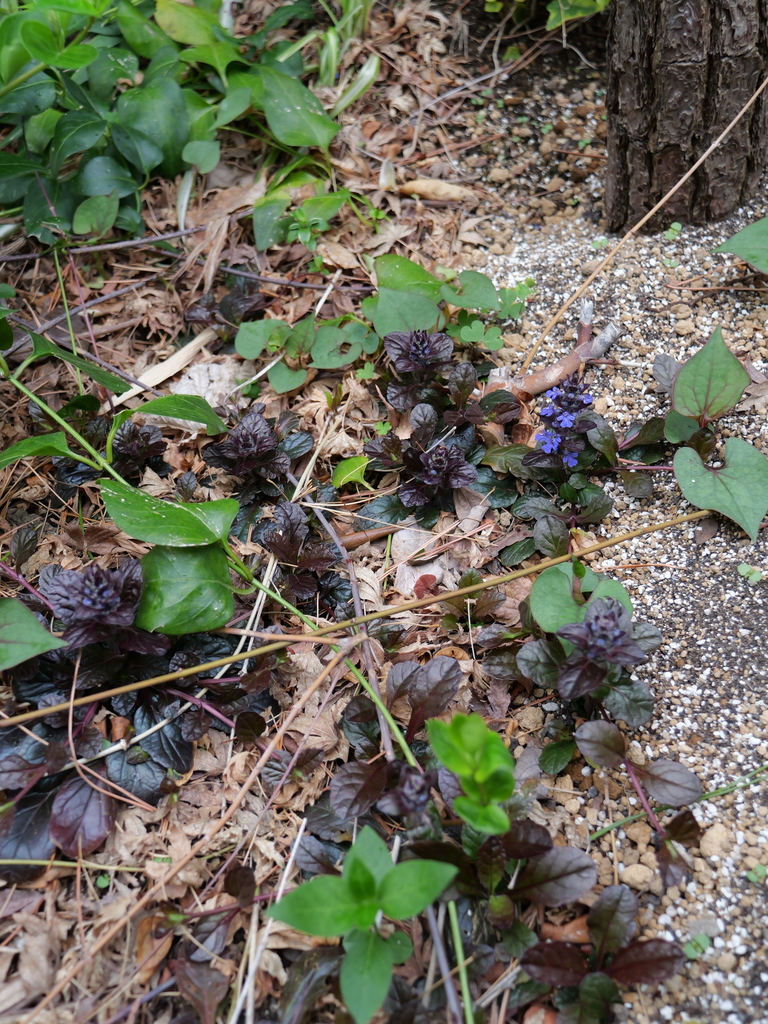 2025-04-06 10_26№(0247).JPG